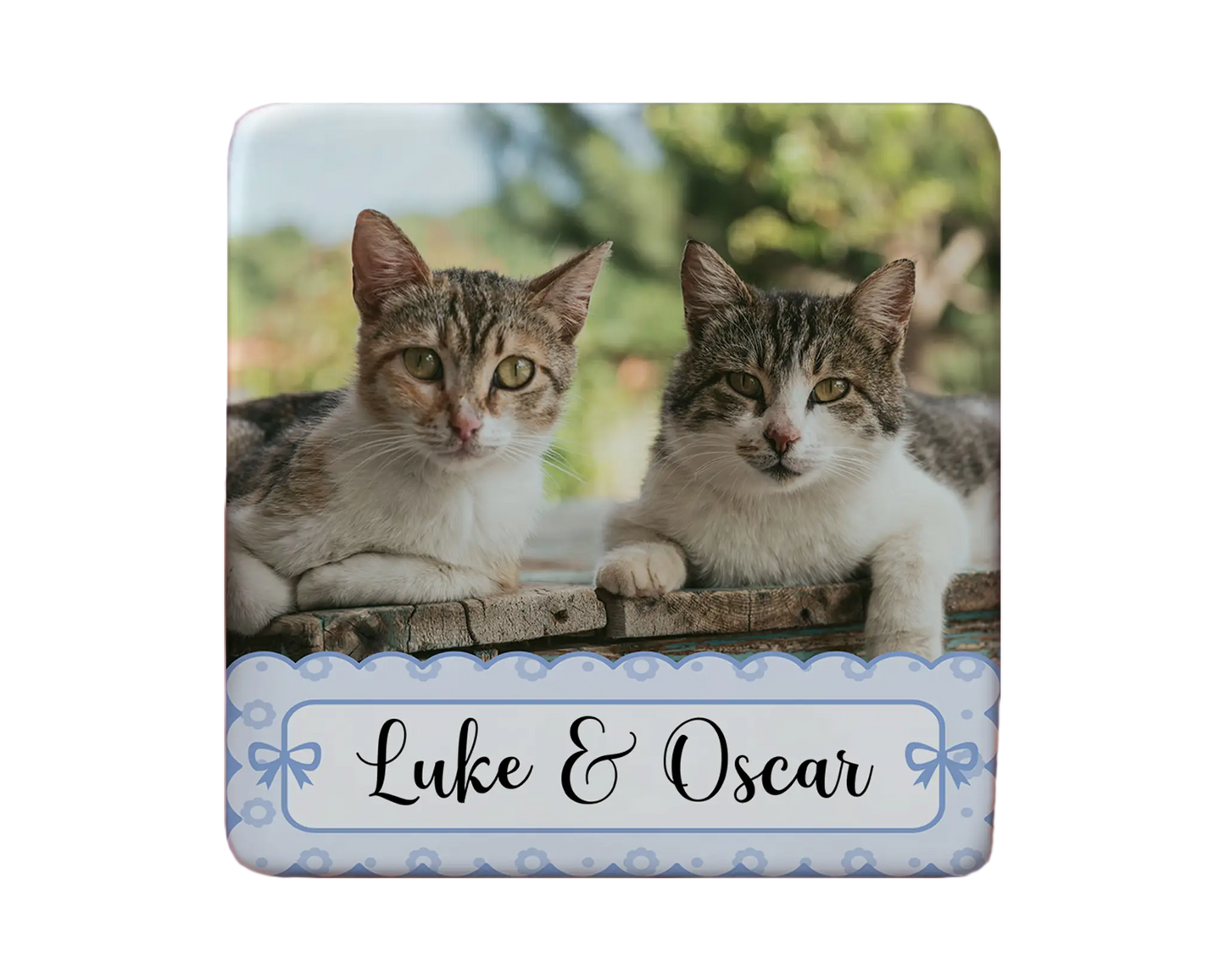 Cat Magnet Custom Personalized Gift Souvenir Present