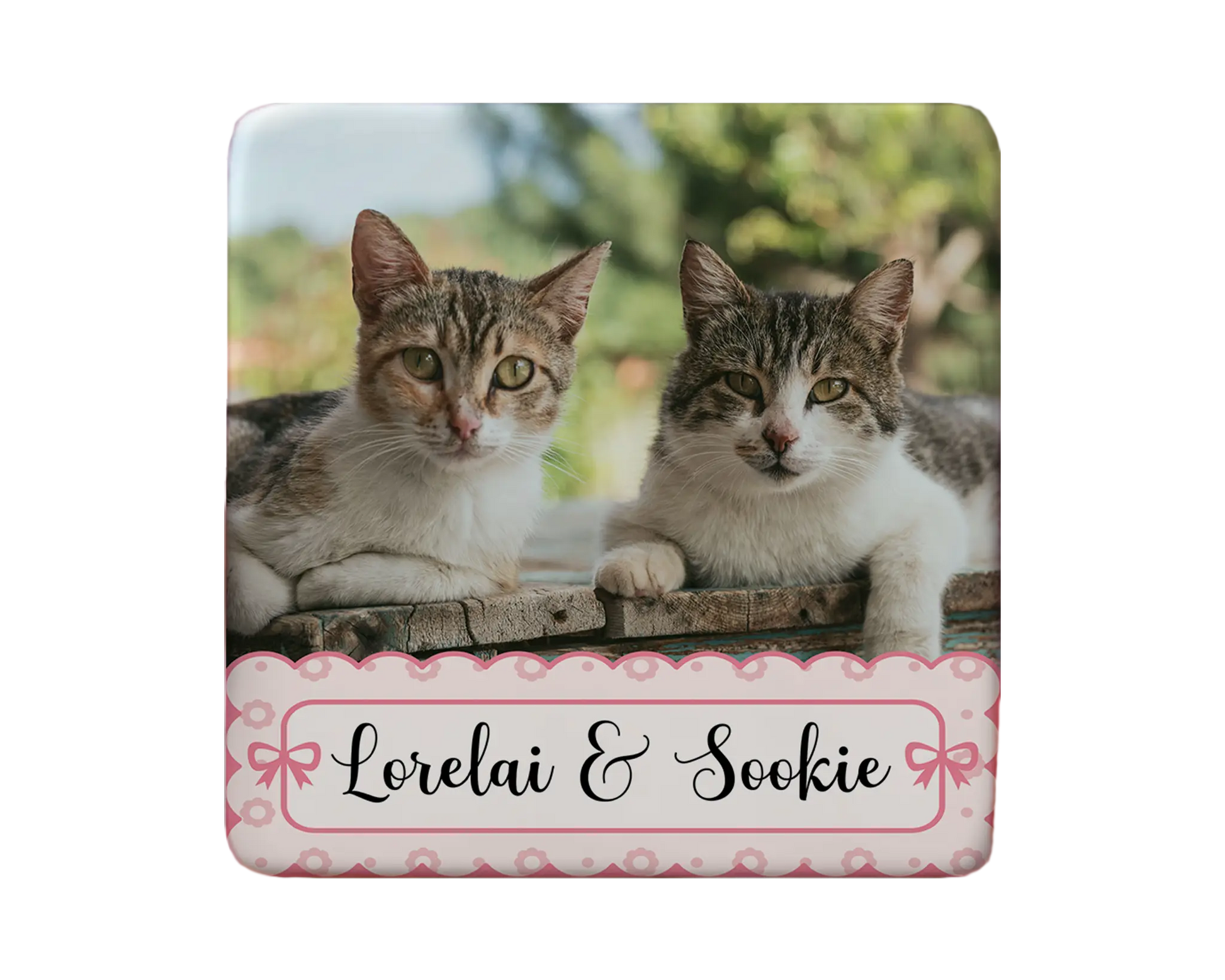 Cat Magnet Custom Personalized Gift Souvenir Present