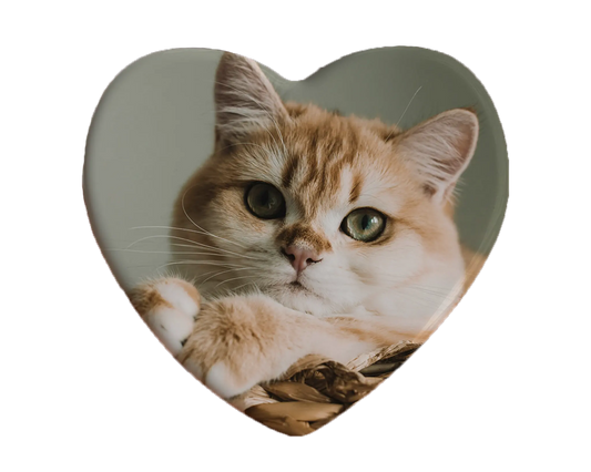 Custom Cat Photo Magnet