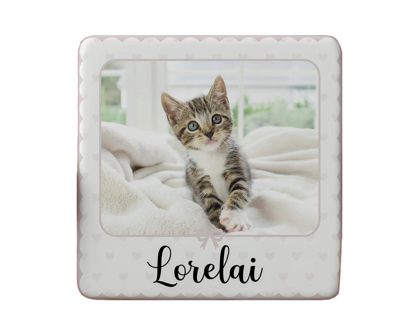 Cat Magnet Custom Personalized Gift Souvenir Present