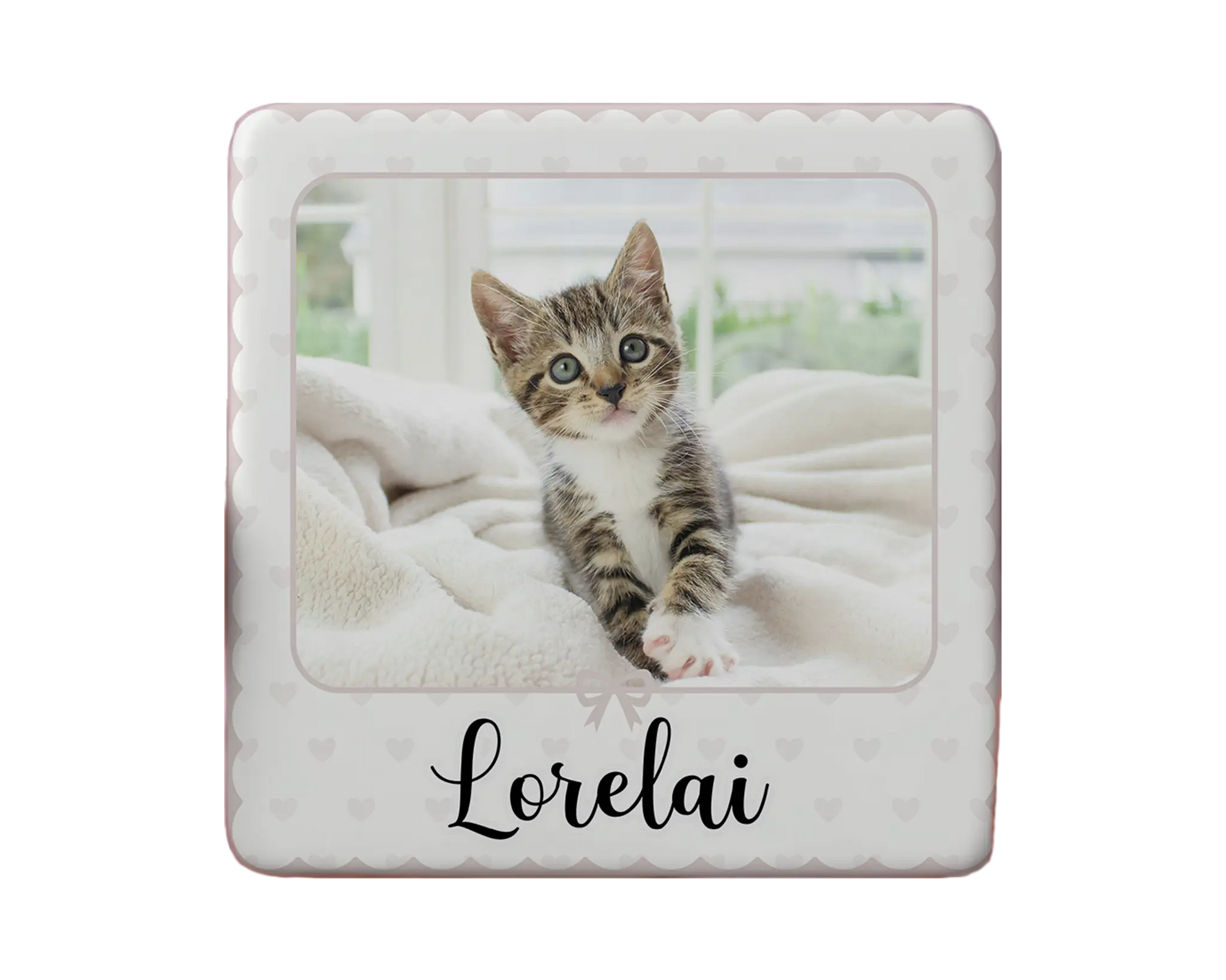 Cat Magnet Custom Personalized Gift Souvenir Present