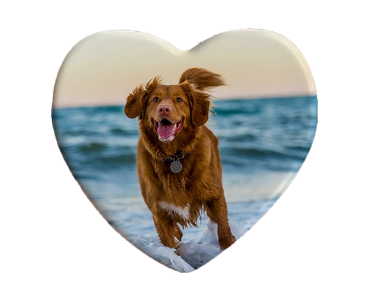 Heart-shaped custom dog ceramic photo magnet on fridge – handmade personalized gift or Christmas fridge magnet. 