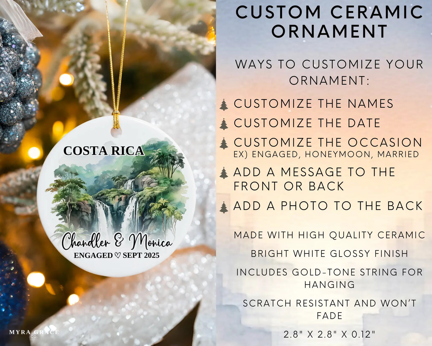 Costa Rica Engagement Ornament Custom Gift Souvenir Bauble Present. Infographic