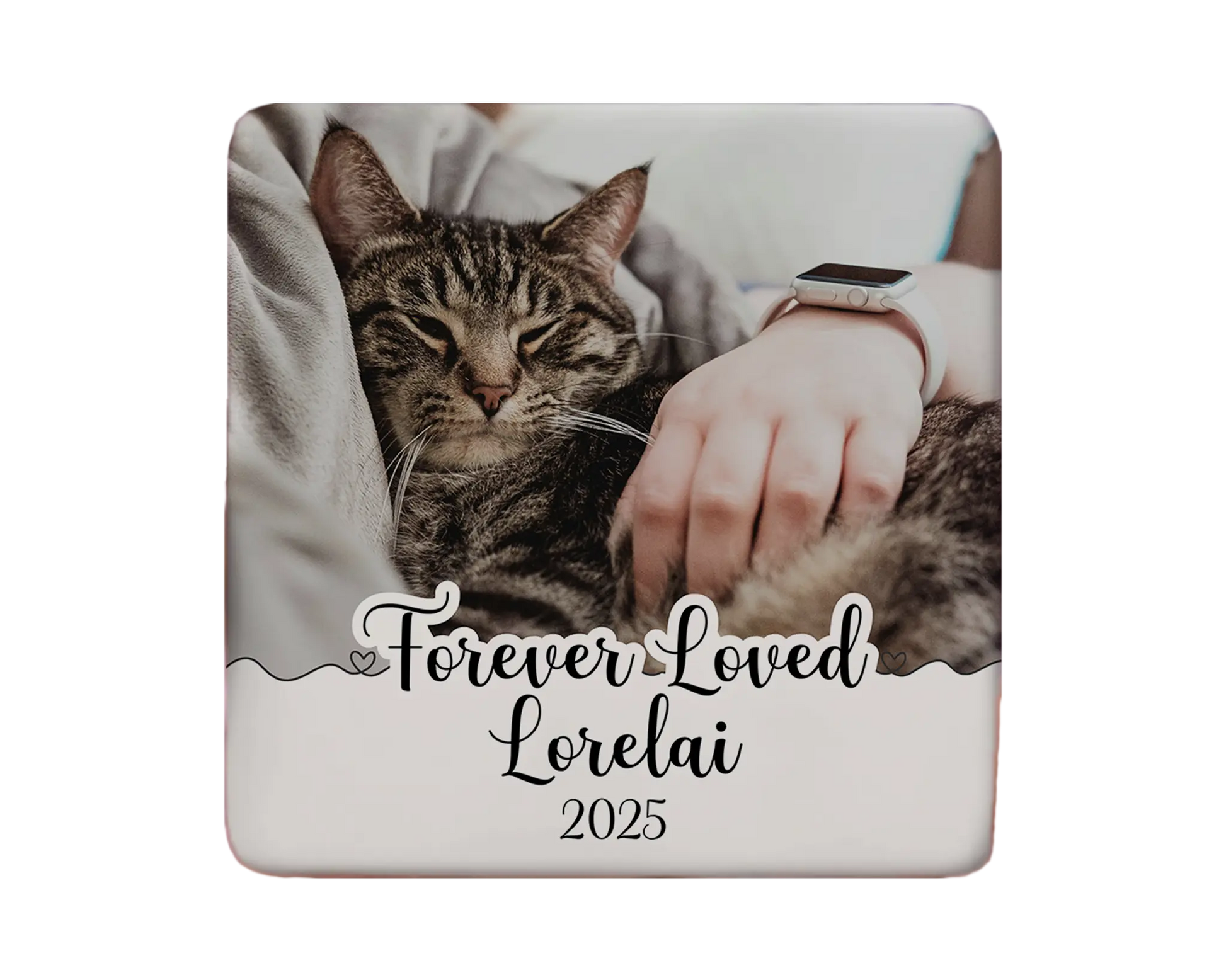 Cat Magnet Custom Personalized Gift Souvenir Present