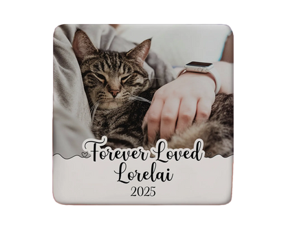 Cat Magnet Custom Personalized Gift Souvenir Present