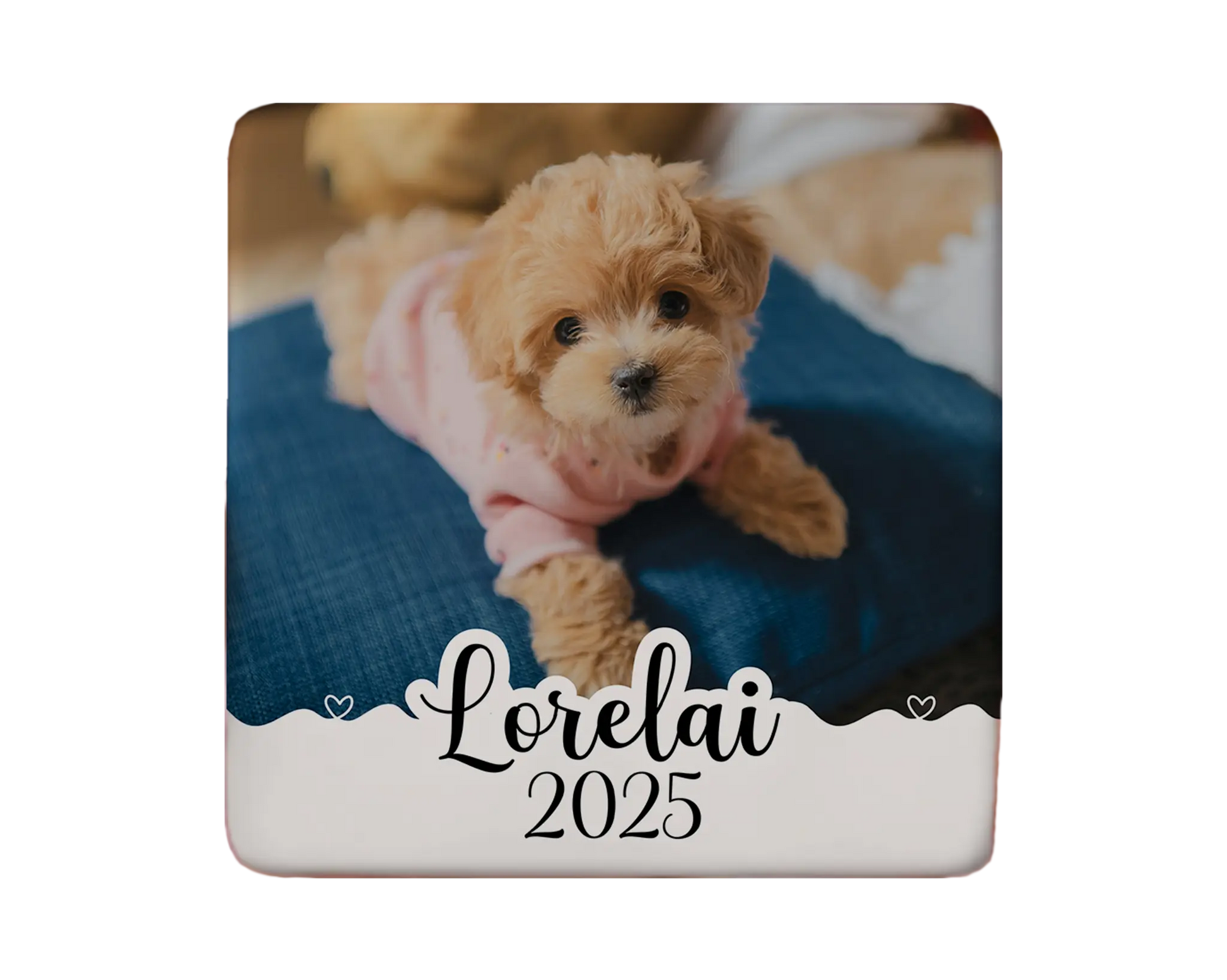 Puppy Magnet Custom Personalized Gift Souvenir Present