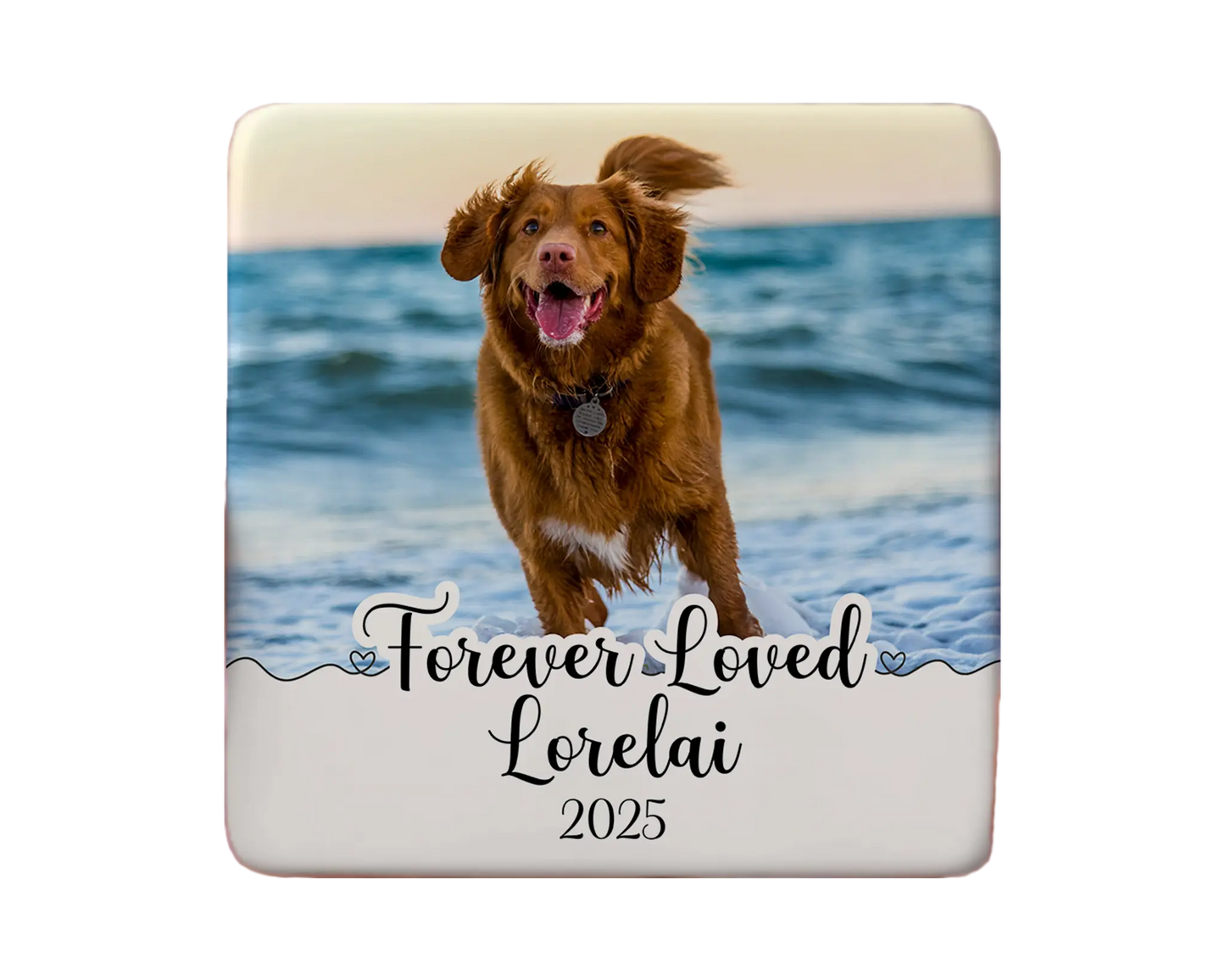 Dog Magnet Custom Personalized Gift Souvenir Present