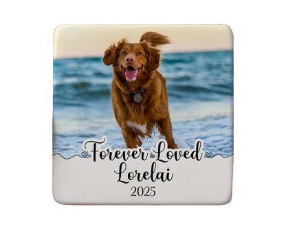 Dog Magnet Custom Personalized Gift Souvenir Present